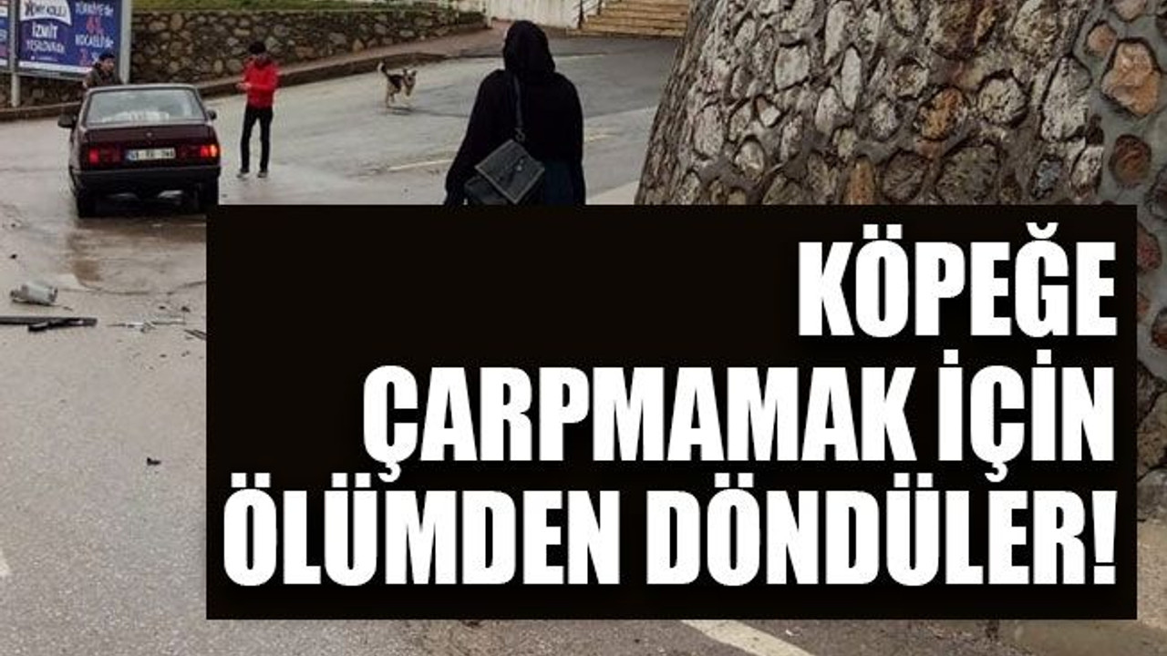 Köpeğe çarpmamak için ölümden döndüler!