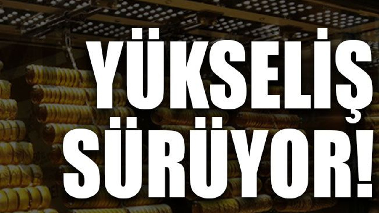 Yükseliş sürüyor!