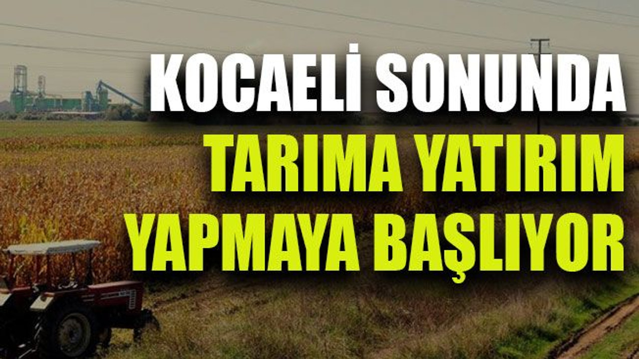 Kocaeli sonunda tarıma yatırım yapmaya başlıyor