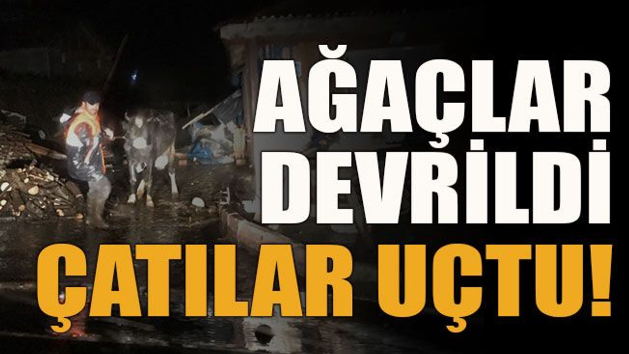 Ağaçlar devrildi çatılar uçtu!