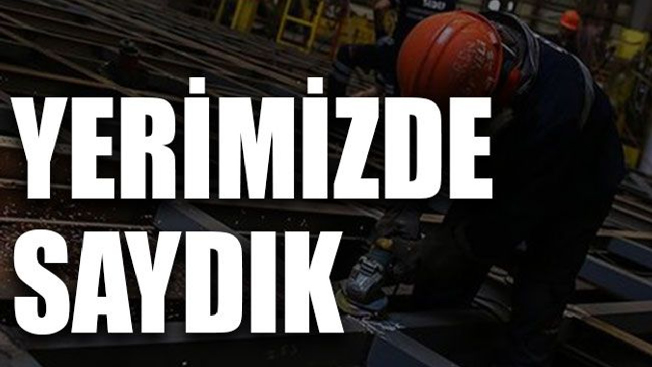 Yerimizde saydık