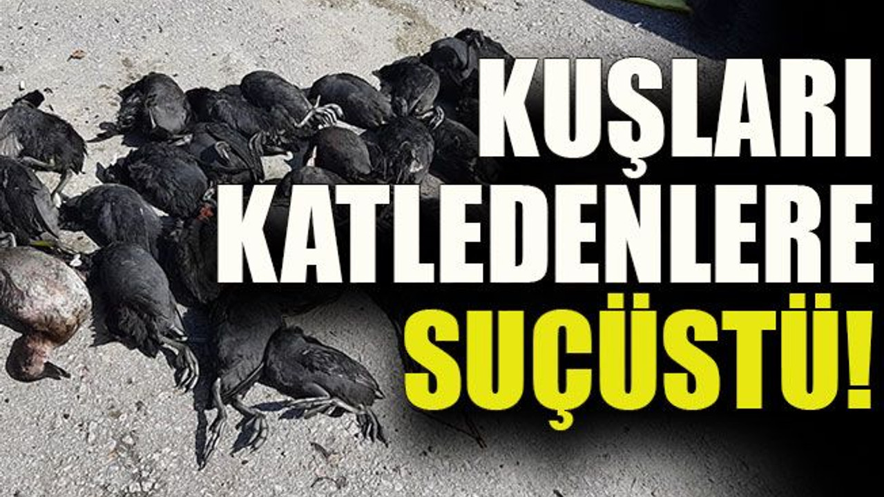 Kuşları katledenlere suçüstü!
