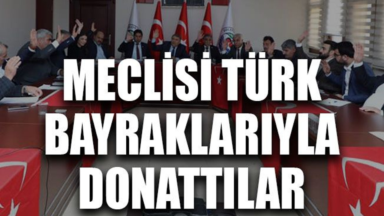 Meclisi Türk bayraklarıyla donattılar
