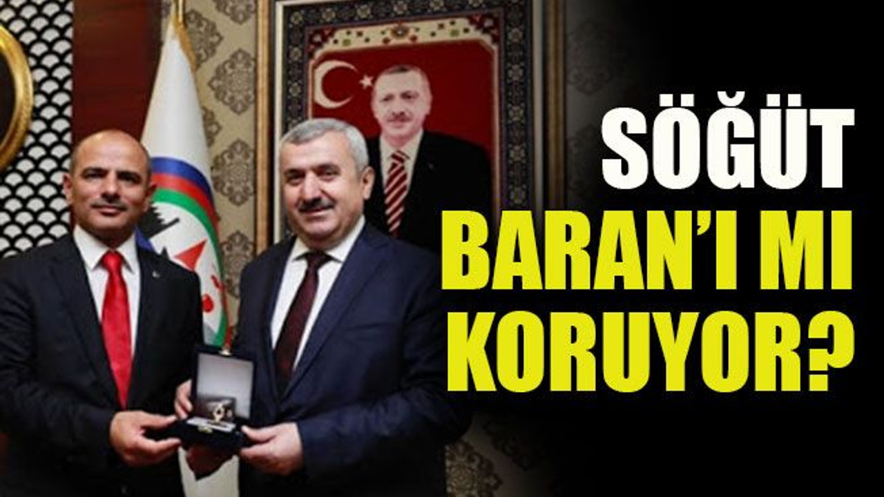 Söğüt, Baran’ı mı koruyor?