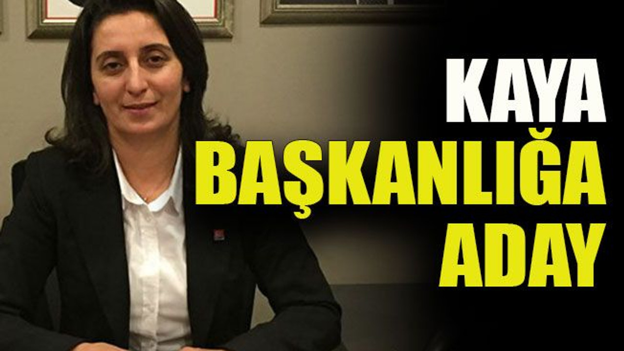 Kaya başkanlığa aday