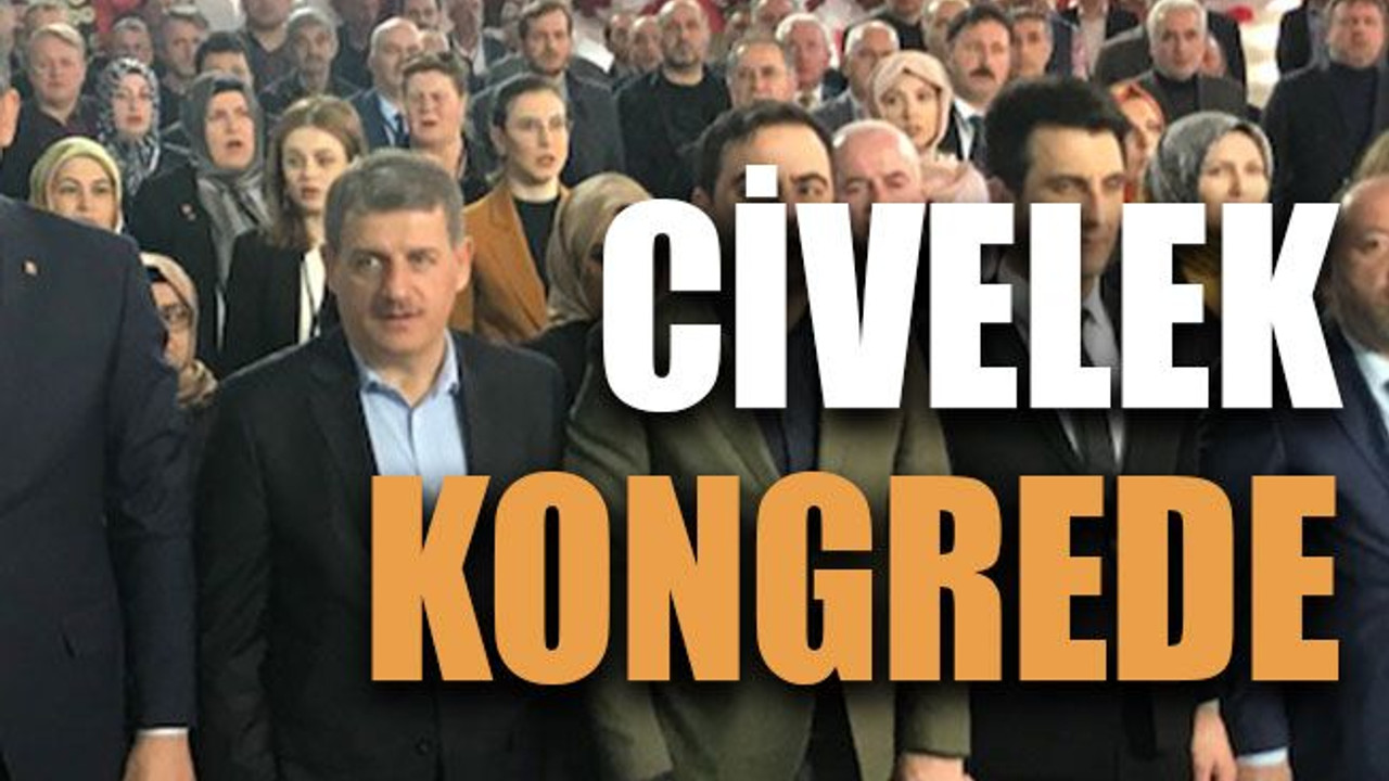 Civelek kongrede