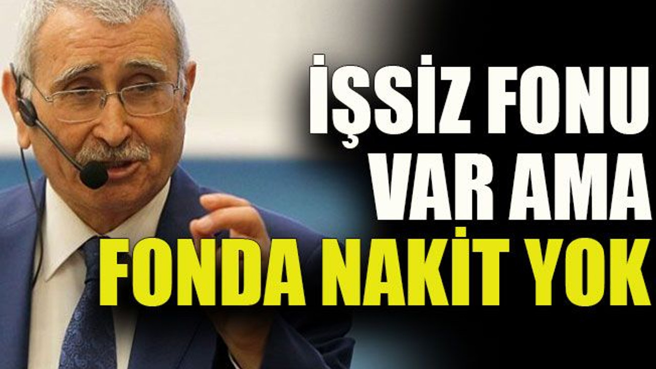 Eski Merkez Bankası Başkanı Yılmaz: İşsiz Fonu var ama fonda nakit yok