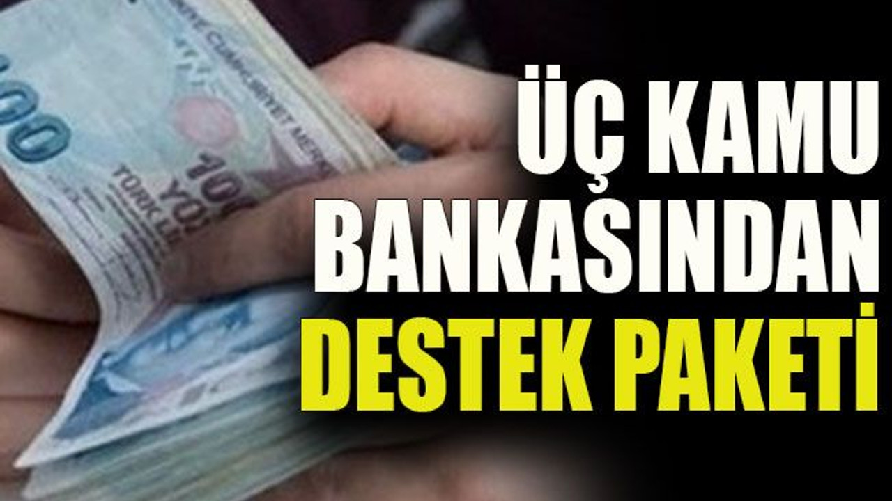 Üç kamu bankasından destek paketi