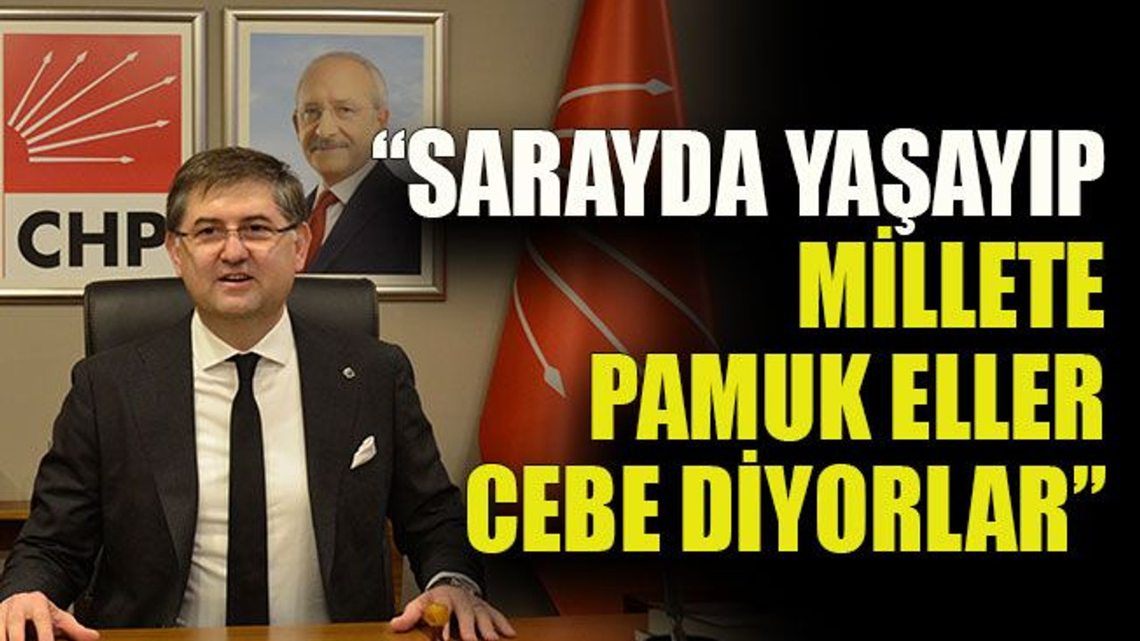 Yıldızlı: “Sarayda yaşayıp millete pamuk eller cebe diyorlar”