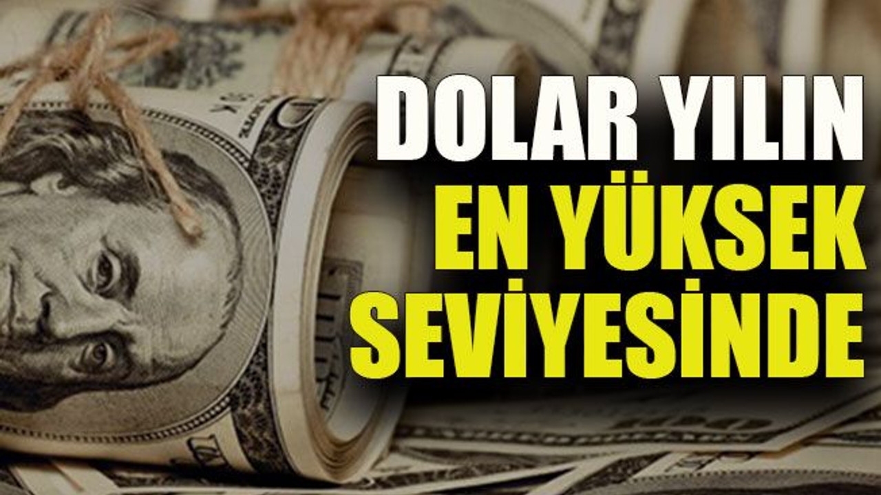 Dolar yılın en yüksek seviyesinde