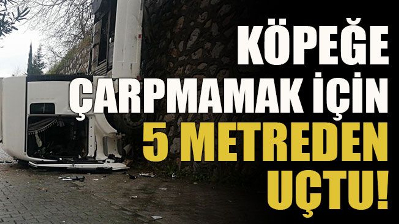 Köpeğe çarpmamak için 5 metreden uçtu!