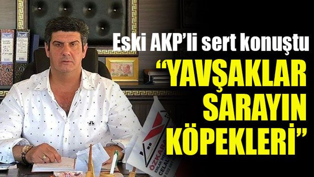 Eski AKP’li sert konuştu : “Yavşaklar, sarayın köpekleri”