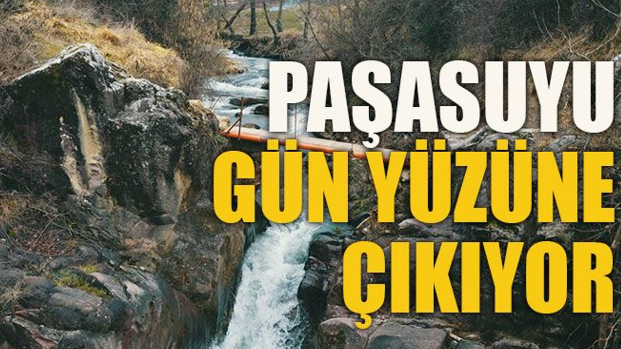Paşasuyu gün yüzüne çıkıyor