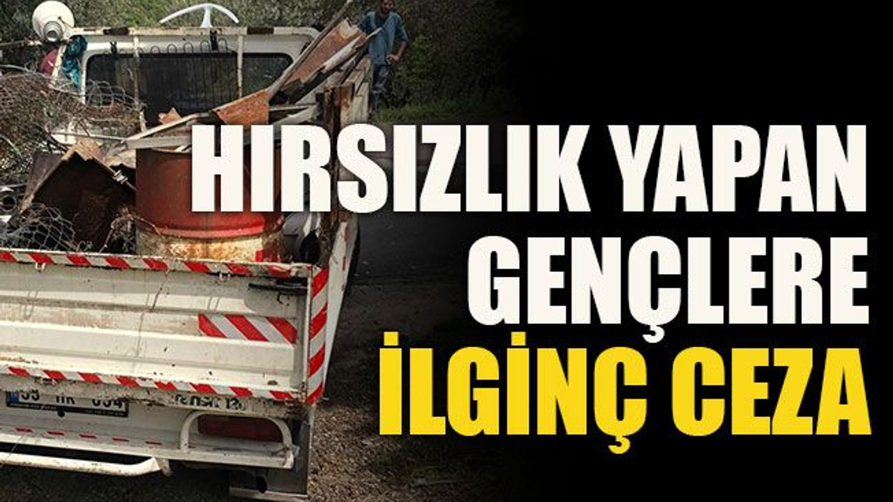 Hırsızlık yapan gençlere ilginç ceza