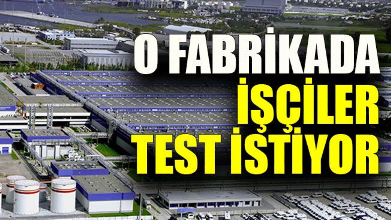 O fabrikada işçiler test istiyor