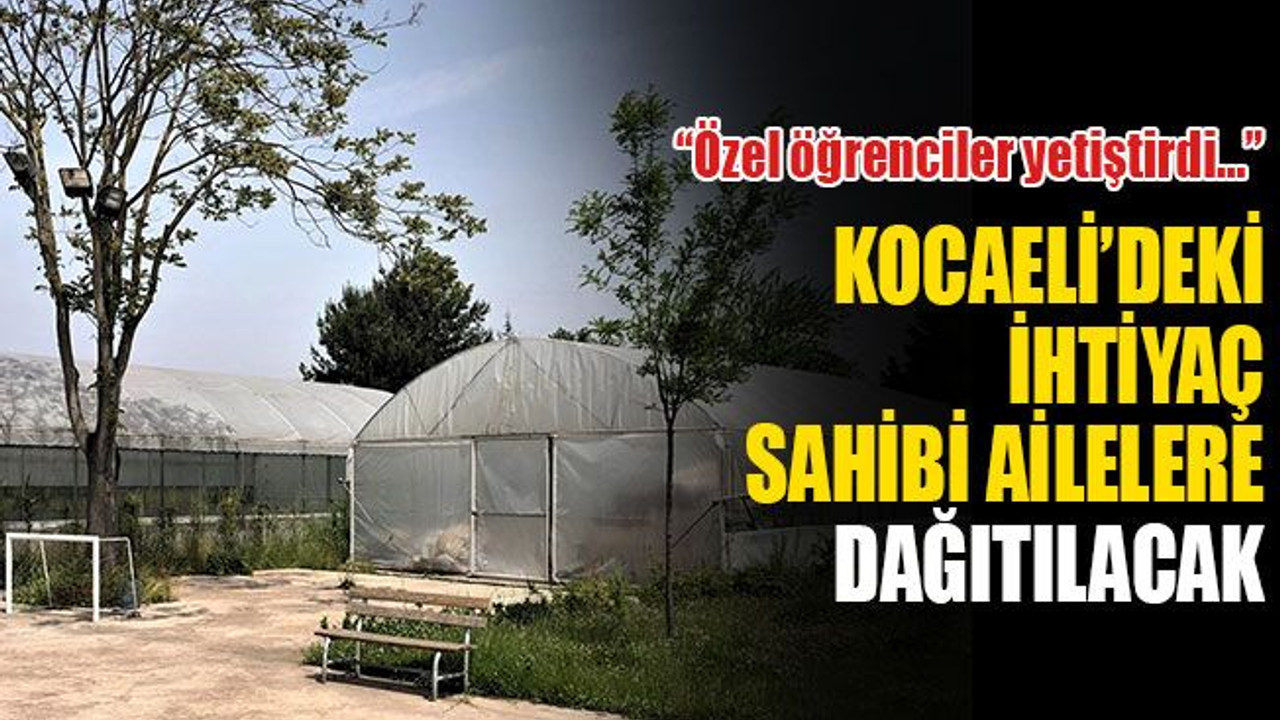 Özel öğrenciler yetiştirdi… Kocaeli’deki ihtiyaç sahibi ailelere dağıtılacak