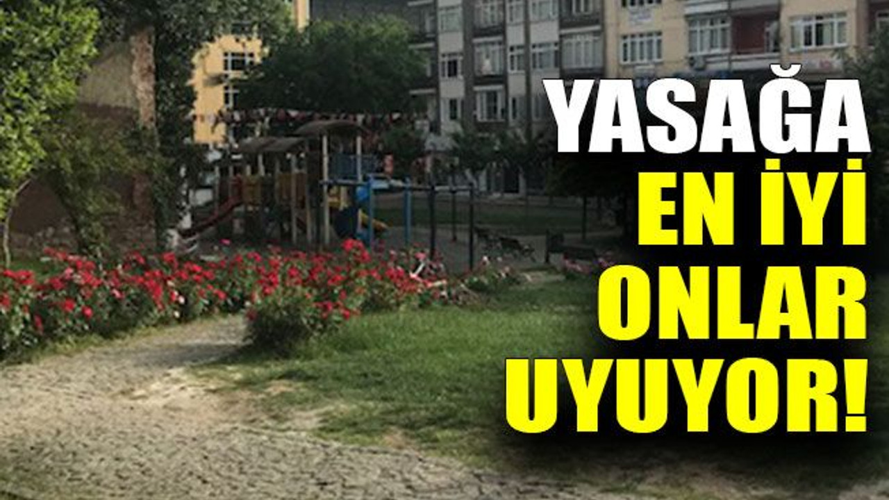 Yasağa en iyi onlar uyuyor!
