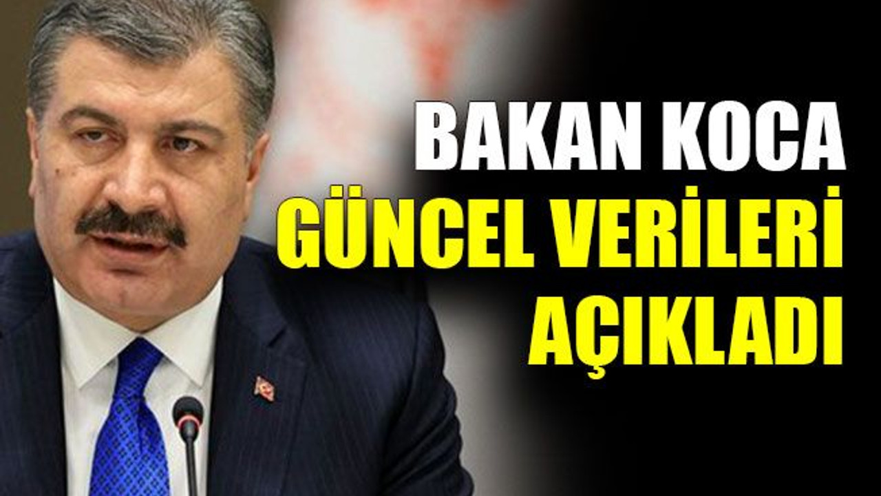 Bakan Koca güncel verileri açıkladı