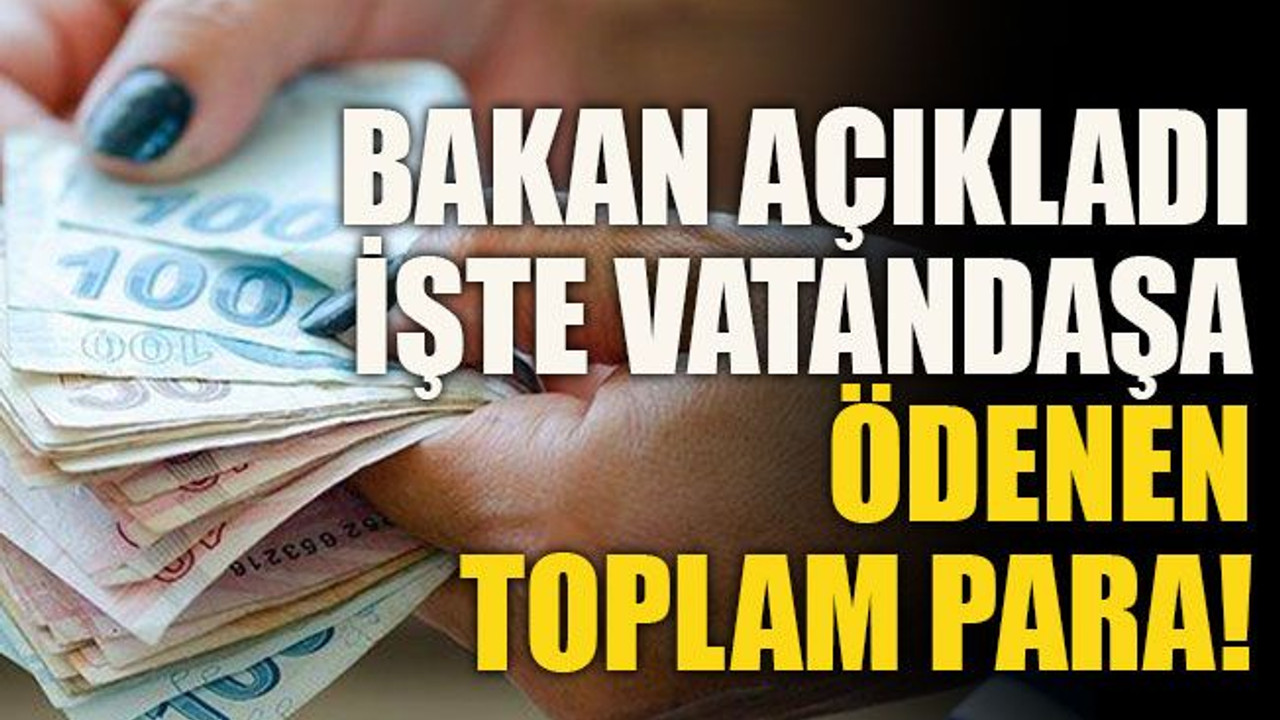 Bakan açıkladı İşte vatandaşa ödenen toplam para!