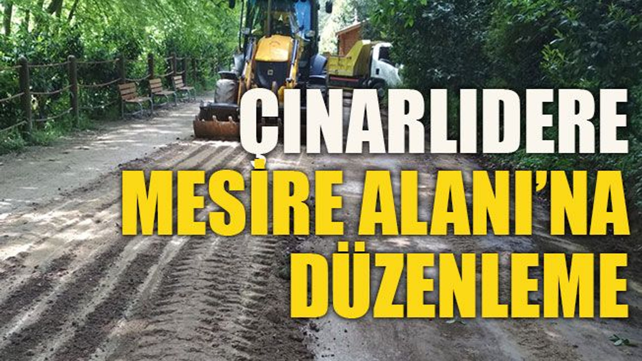 Çınarlıdere Mesire Alanı’na düzenleme