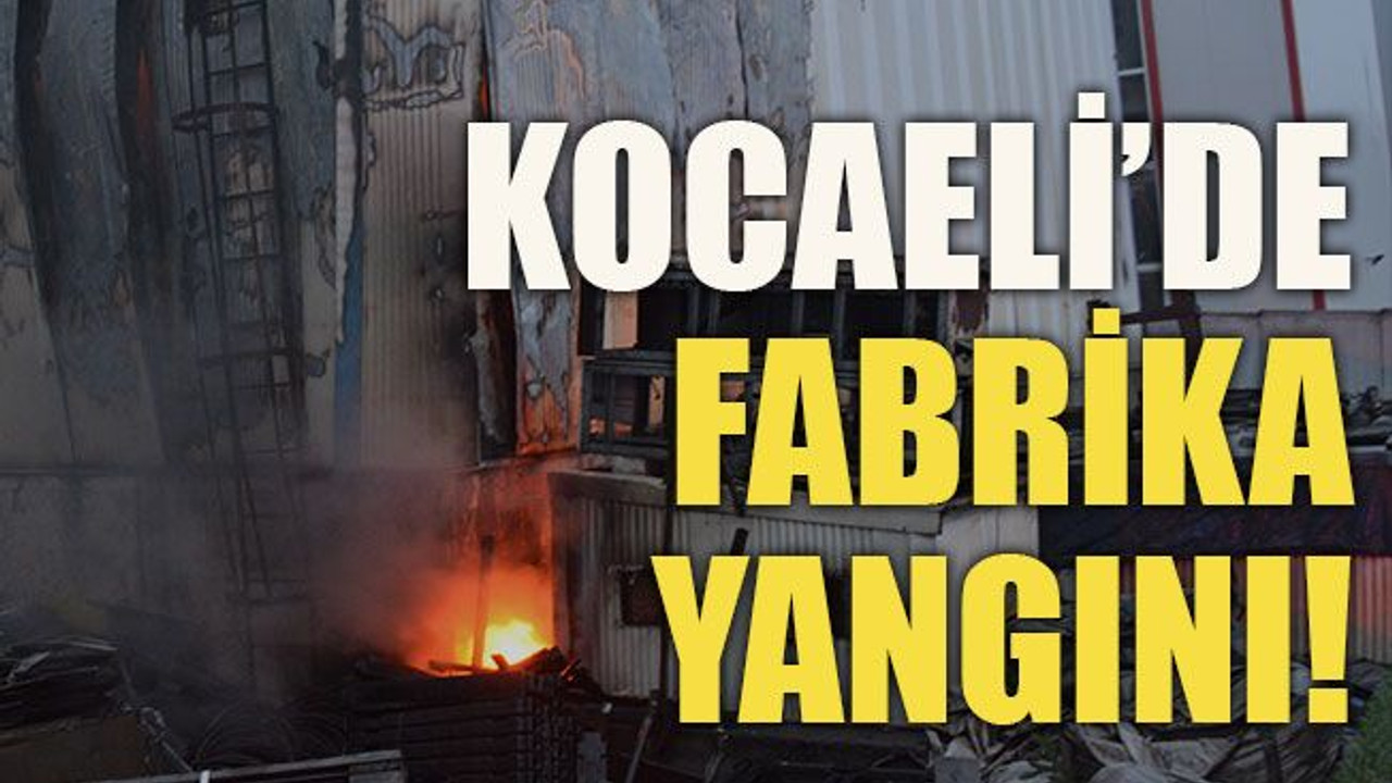 Kocaeli’de fabrika yangını!