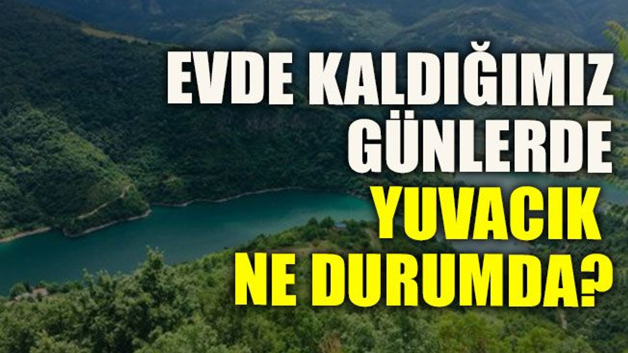 Evde kaldığımız günlerde Yuvacık ne durumda?