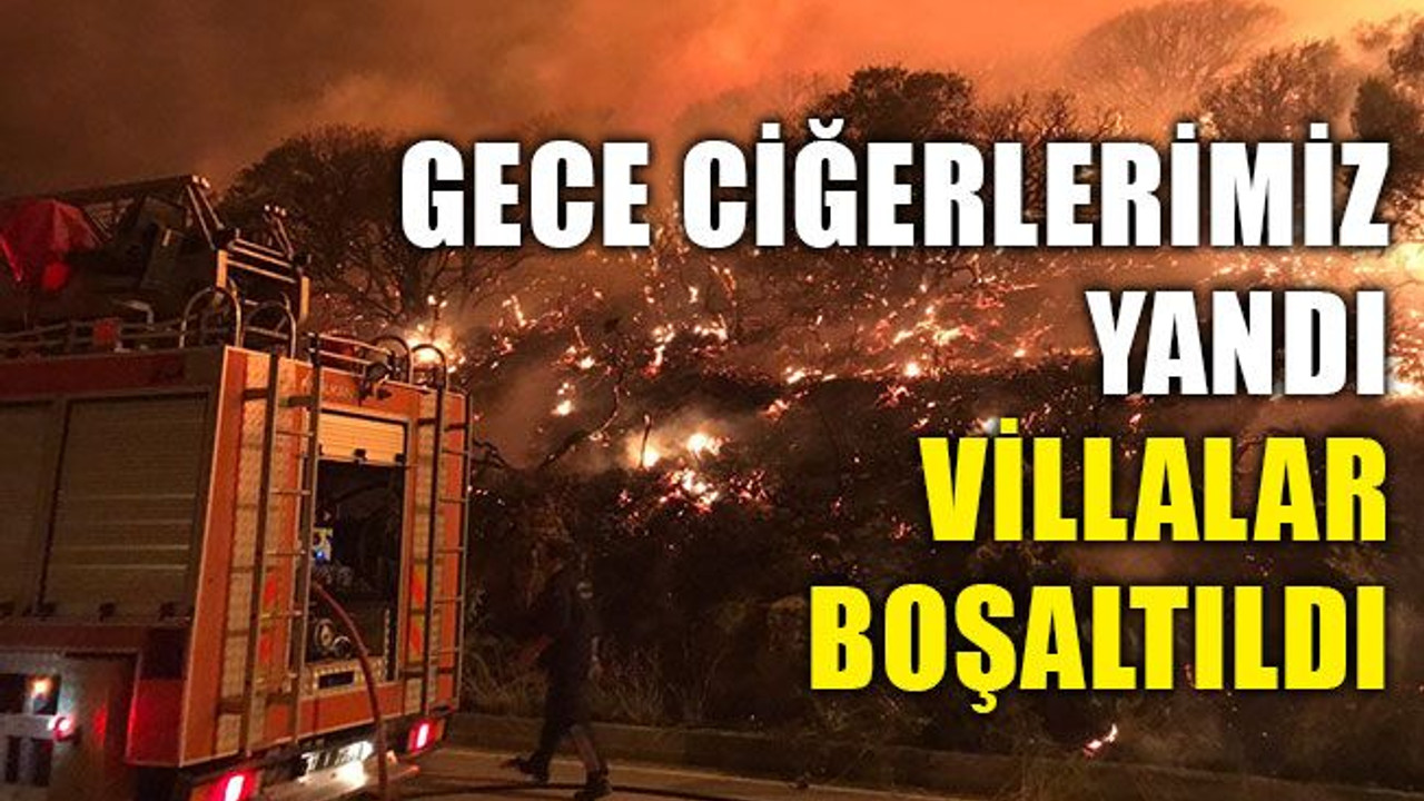 Ciğerlerimiz yandı, villalar boşaltıldı