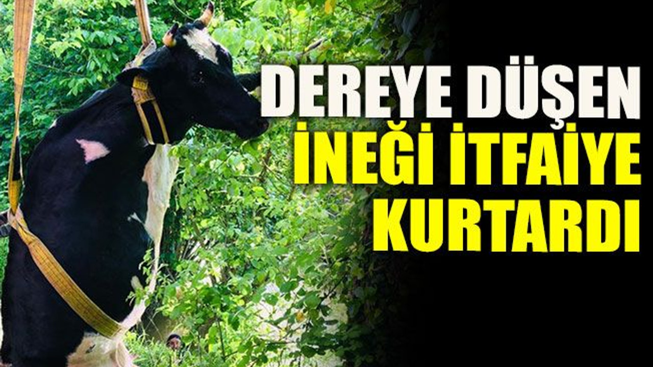 Dereye düşen ineği itfaiye kurtardı