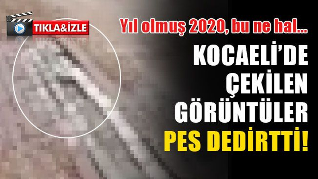 Kocaeli’de bir sokakta çekilen görüntüler pes dedirtti!