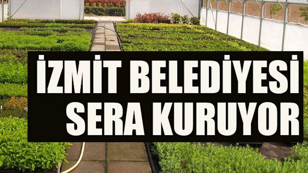 İzmit Belediyesi sera kuruyor