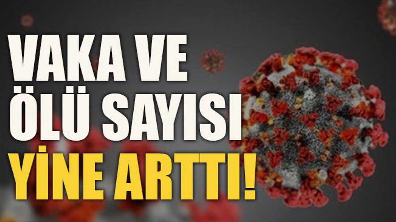 Vaka ve ölü sayısı yine arttı