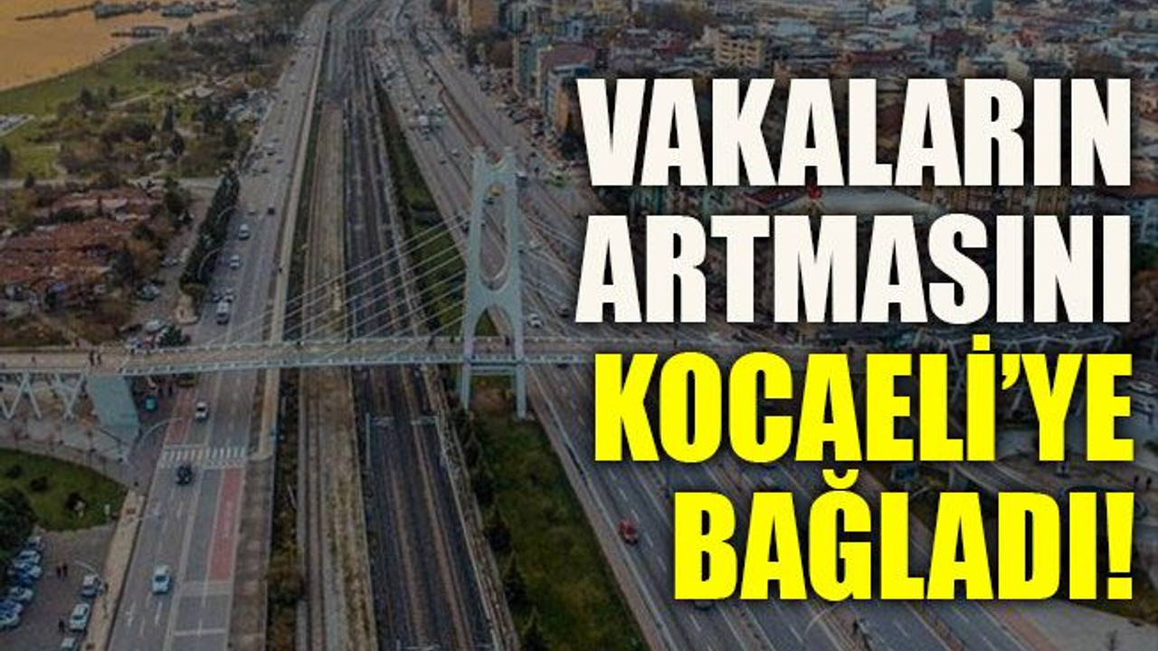 Vakaların artmasını Kocaeli’ye bağladı!