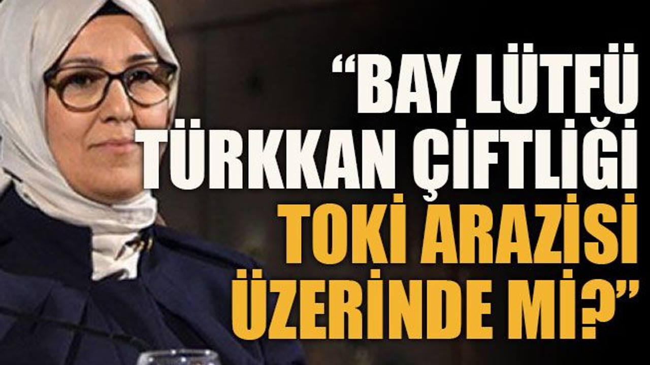 Bay Lütfü, Türkkan Çiftliği TOKİ arazisi üzerinde mi?