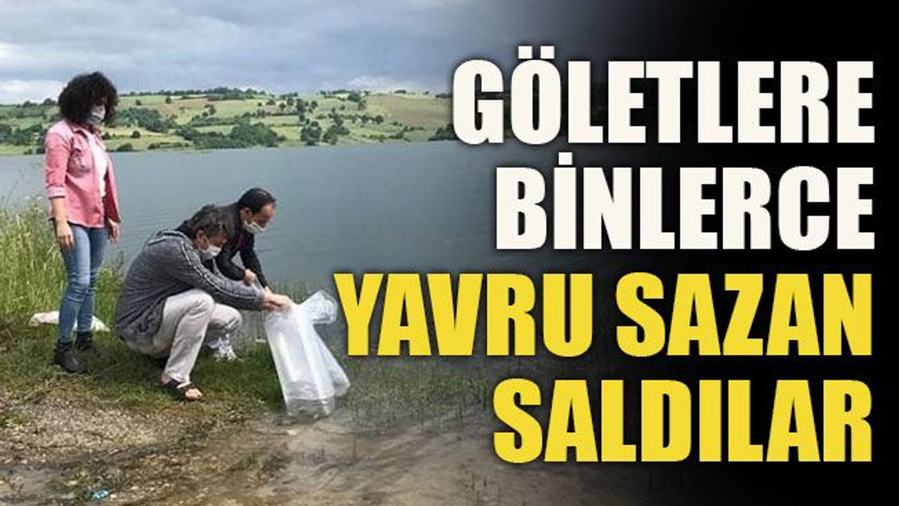 Göletlere binlerce yavru sazan saldılar