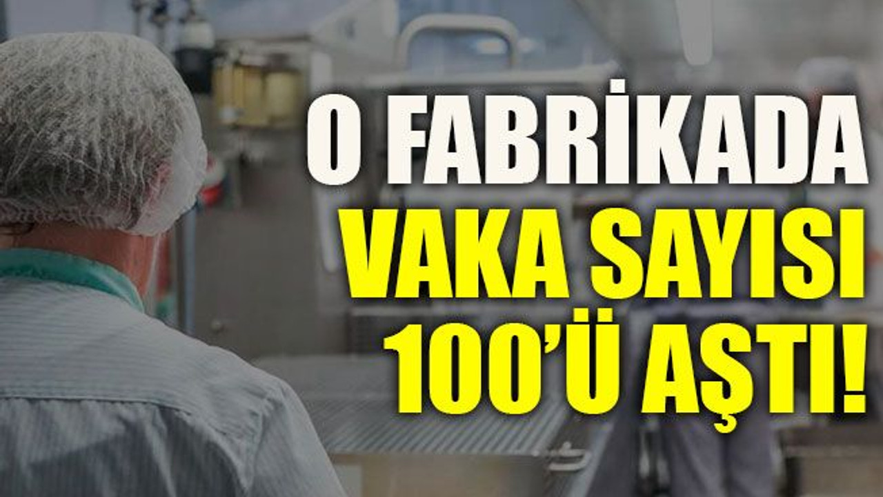 O fabrikada vaka sayısı 100’ü aştı!