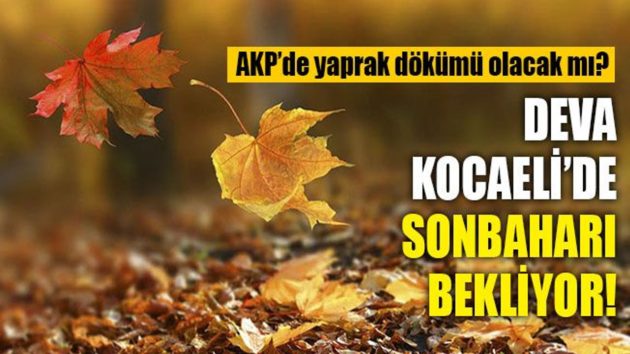 DEVA Kocaeli’de sonbaharı bekliyor! AKP’de yaprak dökümü olacak mı?