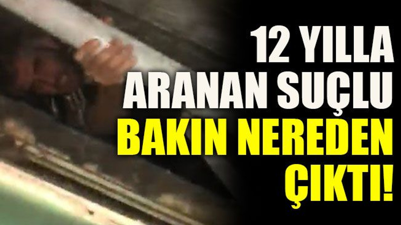 12 yılla aranan suçlu bakın nereden çıktı!