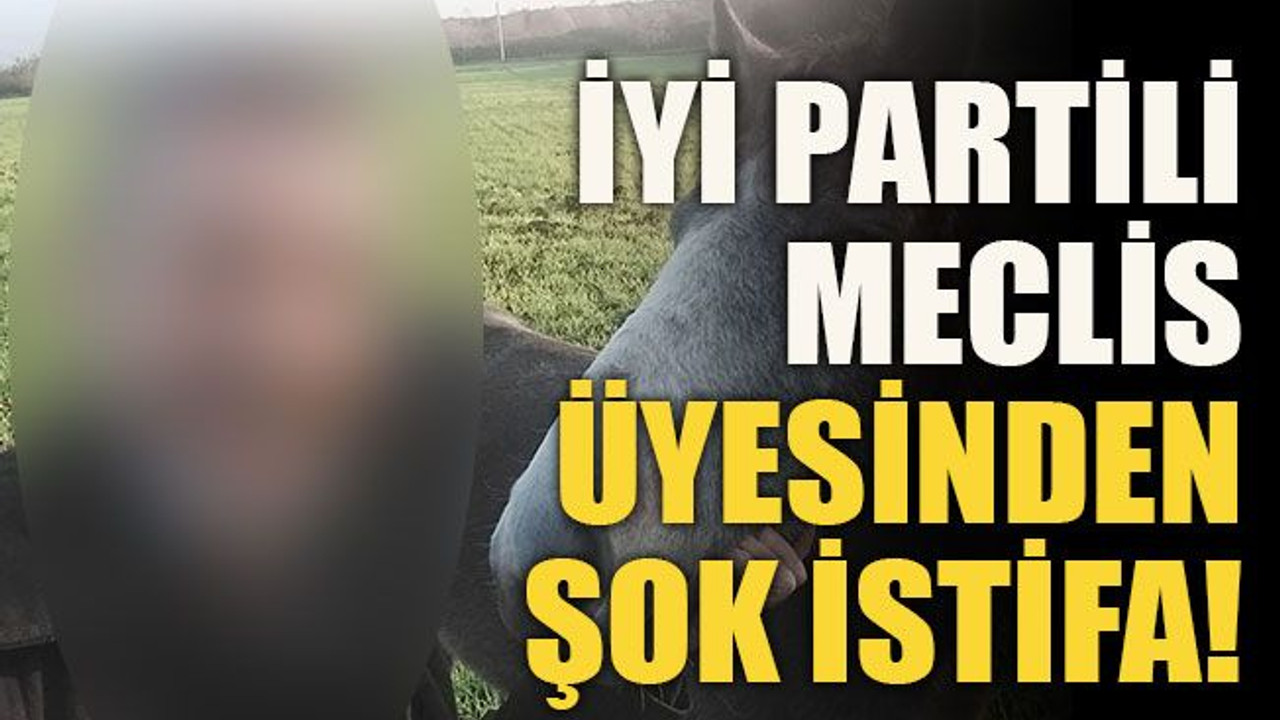 İYİ Partili Meclis üyesinden şok istifa!