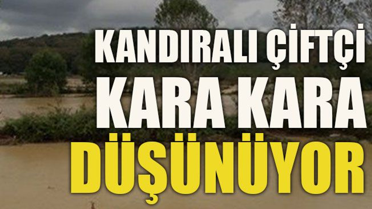 Kandıralı çiftçi kara kara düşünüyor