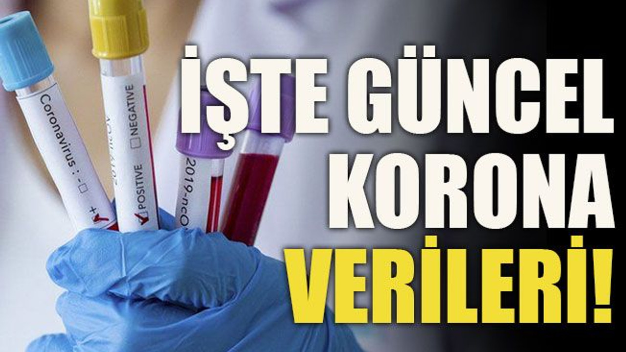 İşte güncel korona verileri!