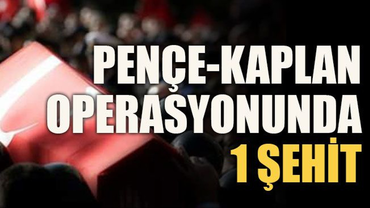 Pençe-Kaplan operasyonunda 1 şehit