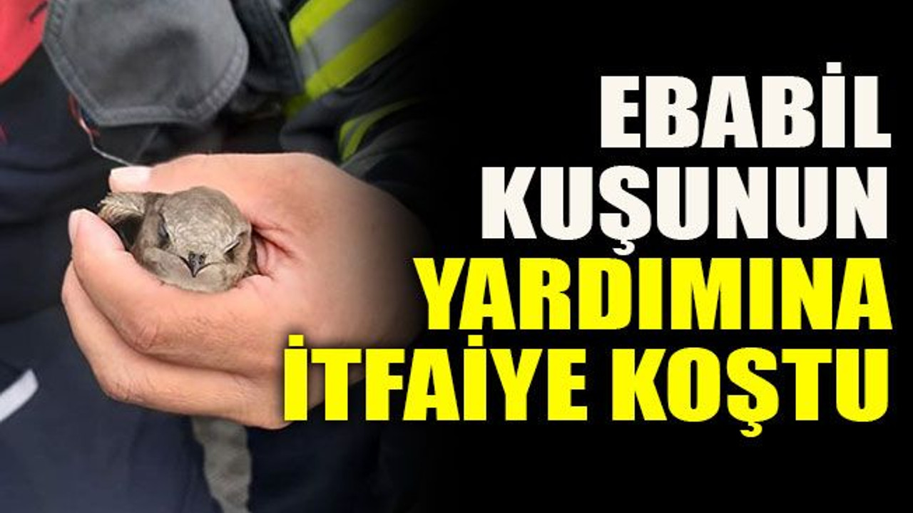 Ebabil kuşunun yardımına itfaiye koştu