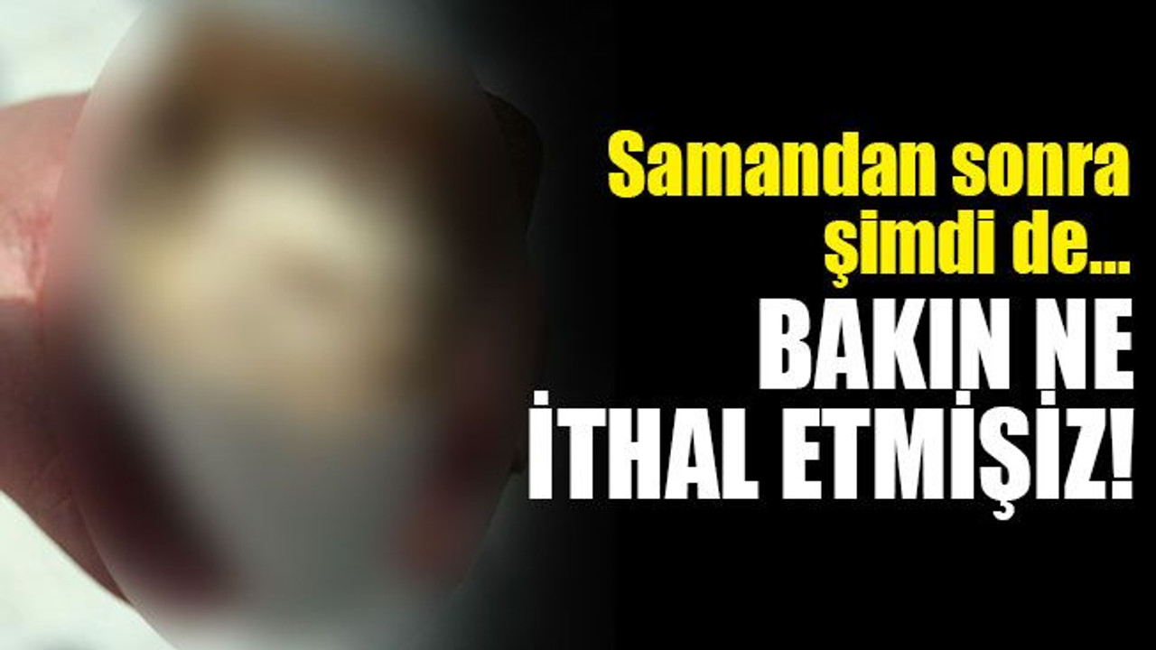 Samandan sonra şimdi de… Bakın ne ithal etmişiz!