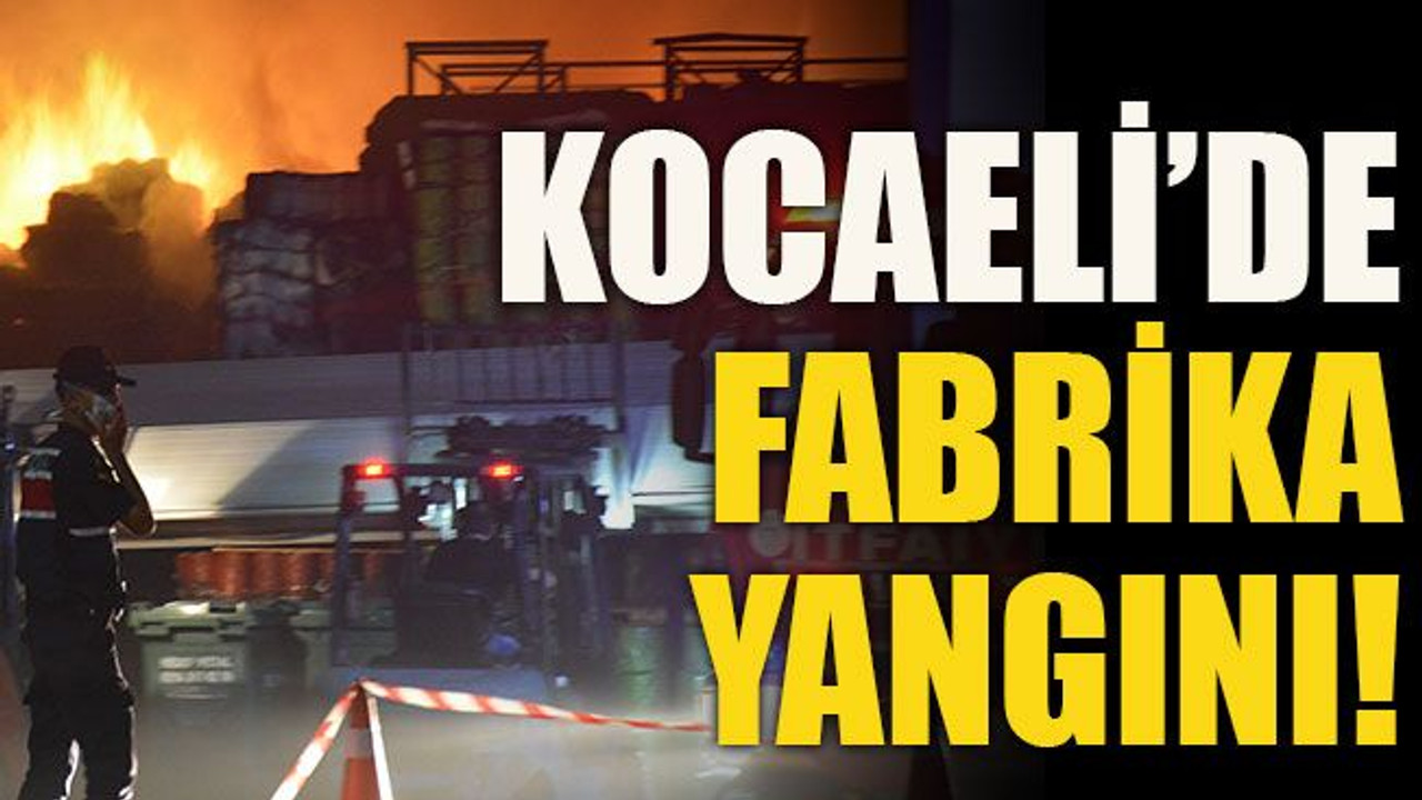 Kocaeli’de fabrika yangını!