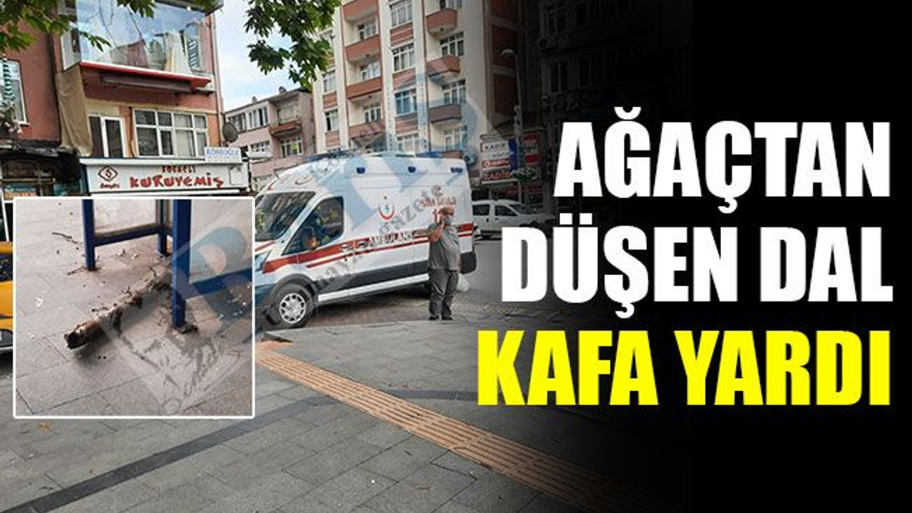 İzmit’te ağaçtan düşen dal, kafasını yardı