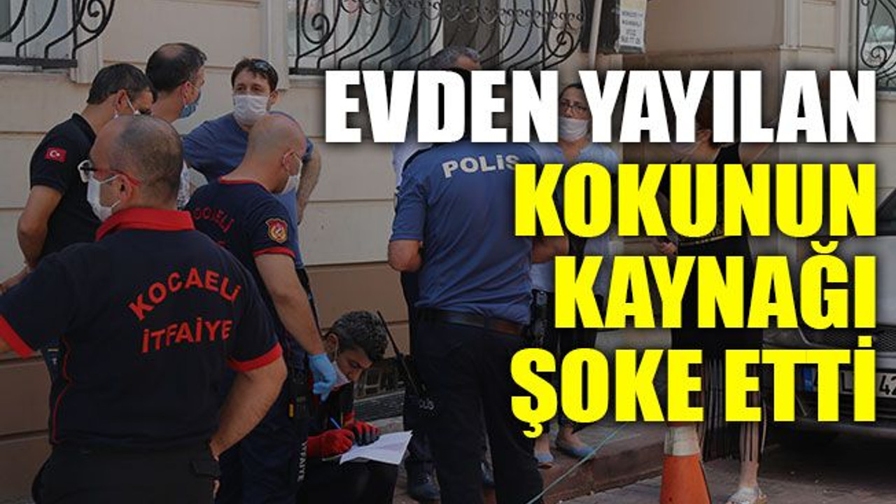 Evden yayılan kokunun kaynağı şoke etti