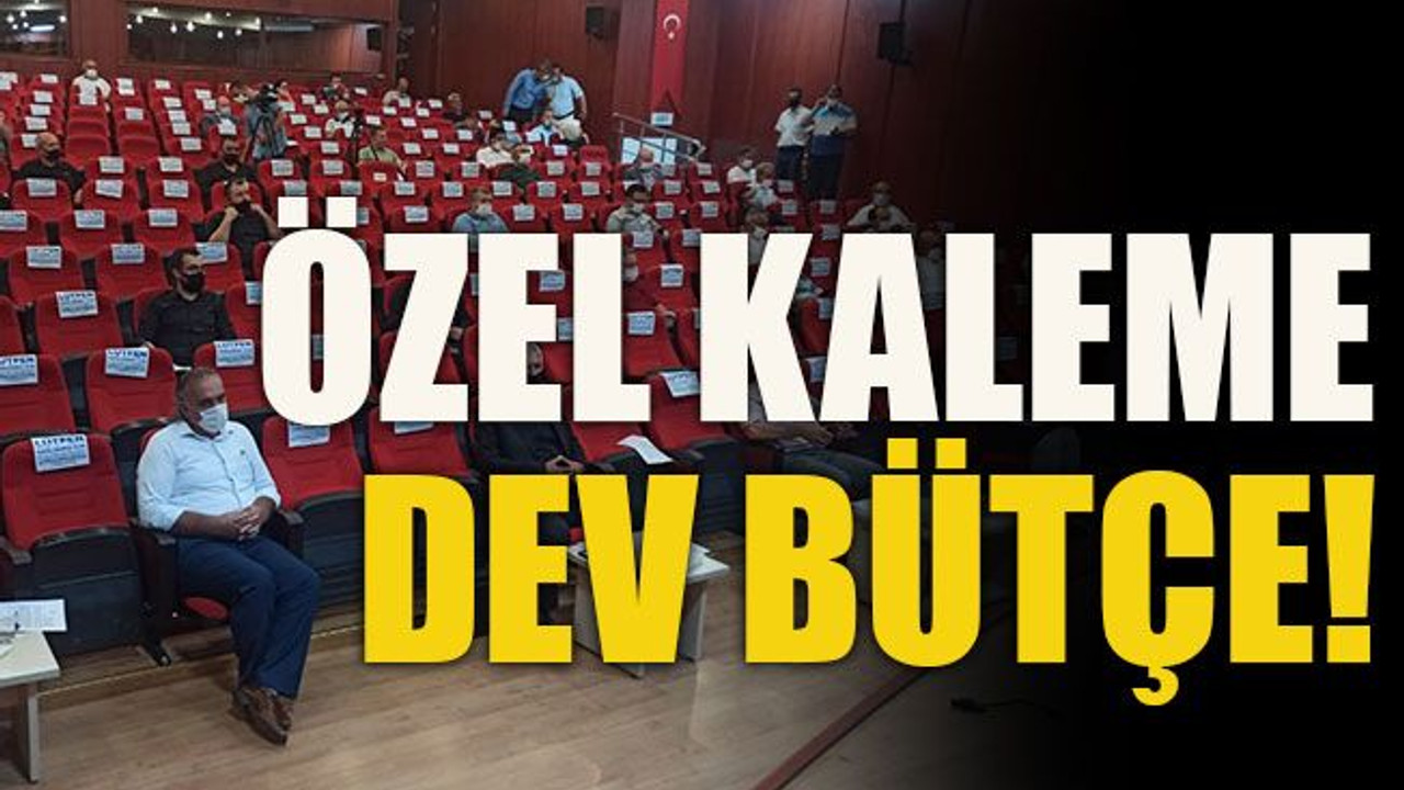 Özel kaleme dev bütçe!