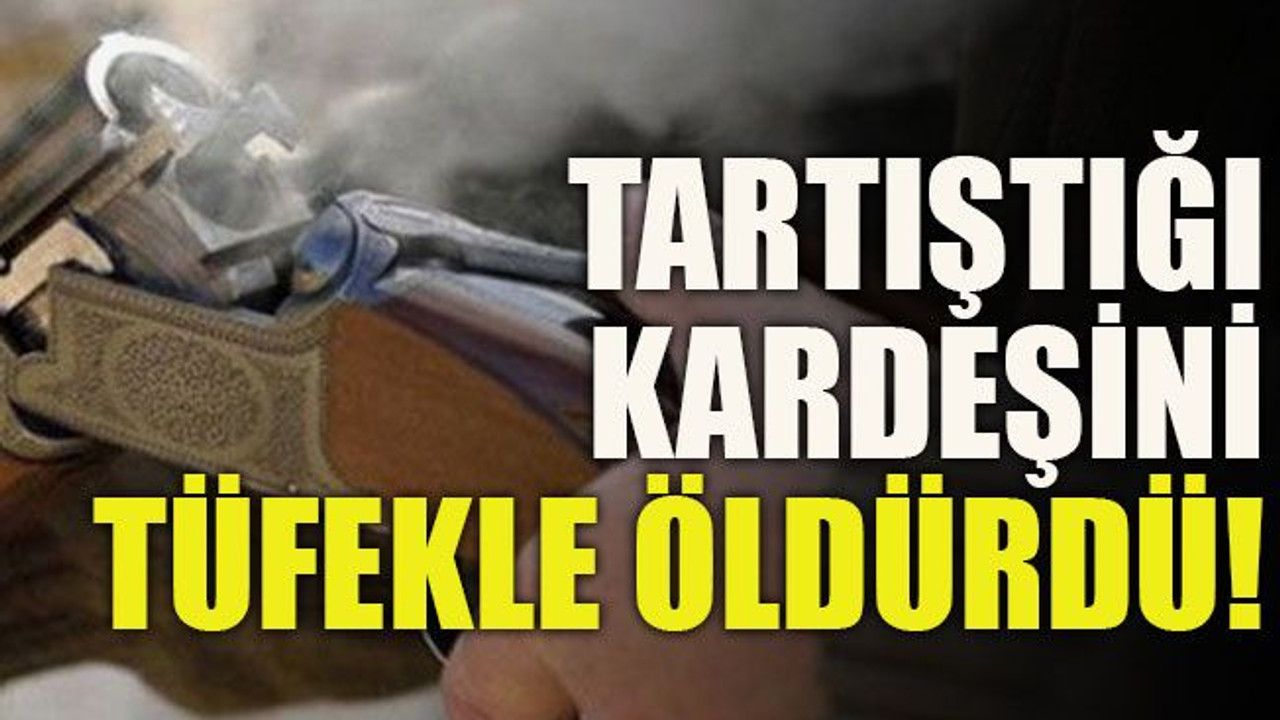 Tartıştığı kardeşini tüfekle öldürdü!