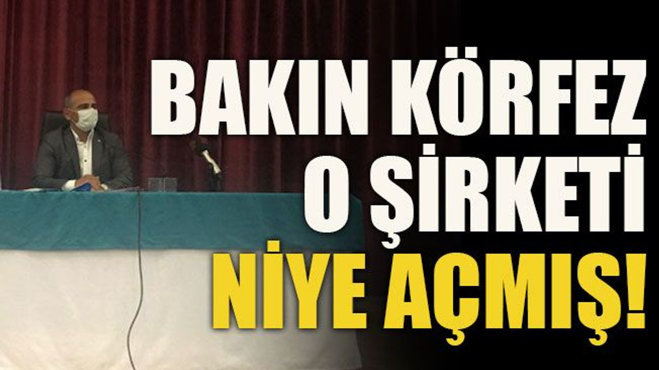Bakın Körfez o şirketi niye açmış!
