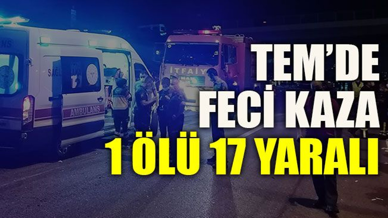 TEM’de feci kaza 1 ölü 17 yaralı